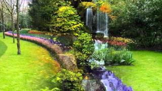 Vozes da Primaveravalsa de Johann Strauss Jr  wmv [upl. by Nossila]