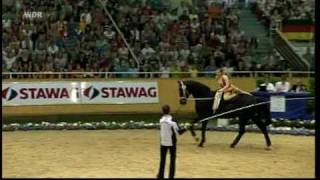 Voltigieren  Kür Anja Barwig  CHIO Aachen 2009  Nationenpreis  Germany 1  Rang 2 [upl. by Ydnar947]