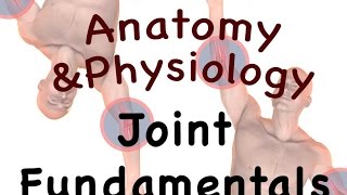 Joints and Articulations  Joint Fundamentals 0805 [upl. by Siver]