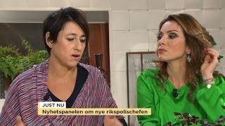 Sverigedemokraterna delar Nyhetspanelen i två läger  Nyhetsmorgon TV4 [upl. by Wahl108]