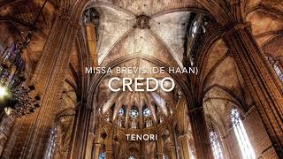 CREDO  TENORI  Missa Brevis De Haan Base musicale [upl. by Margie648]