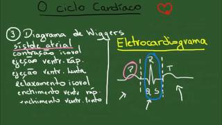 O Ciclo Cardíaco  Resumo  Fisiologia [upl. by Nywde]