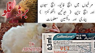 Avian influenza in Poultry  H5  H7  H9  Fowl Plaque  H9 Vaccine  Bird Flu  ایچ نائین [upl. by Ybhsa]