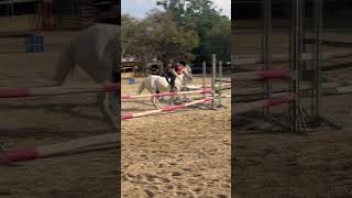 I thought i would fall of again horse eventing horsey equestrian horseworld horselife sso [upl. by Harikahs889]