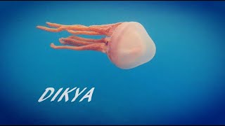 DIKYA featuring Pelagic Jellyfish and Crystal Jellyfish [upl. by Loris]