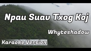 Karaoke Version Npau Suav Txog Koj  Whyteshadow [upl. by Atsylak]