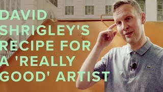 DAVID SHRIGLEYS RECIPE FOR A REALLY GOOD ARTIST [upl. by Harehs]