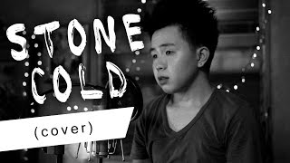 Stone Cold  Demi Lovato Male cover Karl Zarate [upl. by Arnuad]