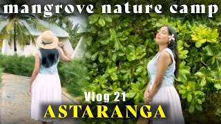 Vlog 21 Day 1 at Mangrove Retreat Luxury Nature Camp Odisha [upl. by Nosrej]