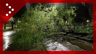 Insolito temporale di marzo su Milano alberi caduti in città [upl. by Disraeli]