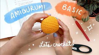 Amigurumi Basics for Beginners Amigurumi 101  Amigurumi Tutorial [upl. by Ahsiki]