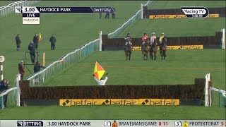 ROYALE PAGAILLE IS STUNNING IN THE BETFAIR CHASE AT HAYDOCK PARK [upl. by Ecirtnuahs641]