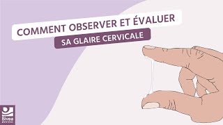 Comment observer et évaluer sa glaire cervicale [upl. by Ahsinehs796]