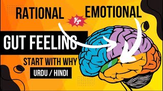 What is Gut Feelings   Limbic vs Neocortex  Emotional vs Rational Brain  Start with why [upl. by Ahsiuqel]