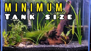 TANK SIZE  When is the Aquarium TOO SMALL for your Fish [upl. by Arriek985]