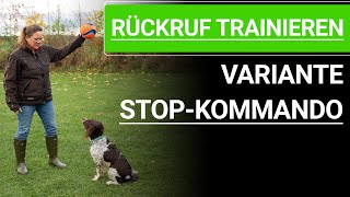 🐶 Rückruf trainieren ➡️ Rückruftraining für Hunde mit Stop Kommando Hund ➡️ Praxisvideo 🐶✔️ [upl. by Anidam]