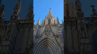 Catedral de Barcelona spain shorts travel shortvideo [upl. by Nya338]