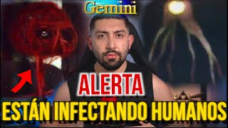 ALERTA EL CASO DE GEMINI HOME ENTERTAINMENT [upl. by Danais854]