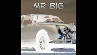 Mr Big Mafia Mix [upl. by Kehsihba]