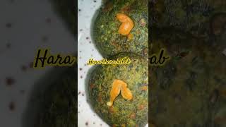 Hara bhara kebab food plating foodphotography foodie foodplating foodpresentation chefsandeep [upl. by Eltsirhc295]