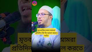 মৃতব্যক্তির জন্য আমরা প্রতিদিন কি কি আমল করতে পারি শায়েখ আহমাদুল্লাহ প্রশ্নোত্তর।wazislamicshorts [upl. by Fabrice]