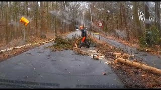 Sturm im Stadtwald Bocholt schmeißt Baum auf Strasse und zerstört Ortsschild [upl. by Intirb682]