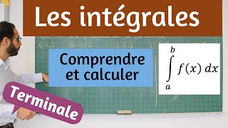 Les intégrales [upl. by Dloniger663]