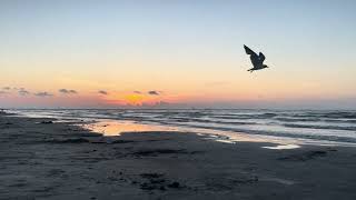 Come to Port Aransas Tx [upl. by Belding]