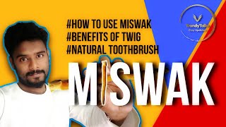 How To Use a Miswak  Benefit of Natural Ancient Toothbrush  Ramadan 2024 [upl. by Portuna881]