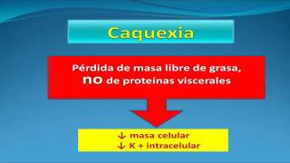 Jornada Nutrición y Cáncer “Fisopatología de la caquexia” [upl. by Ahsiad252]