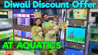 AT Aquatics Shares Top Diwali Discount Fish Stock Picks [upl. by Lydnek]