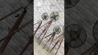 Introducing The Fanzart British Royal Collection Tripod Fans [upl. by Flyn914]