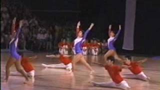 NITTAIDAI Gymnastics Club  Short Video 11th World Gymnaestrada 1999 [upl. by Ayotac]