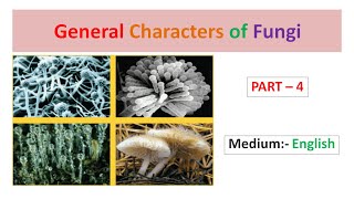 General Characters of Fungi Part4 English [upl. by Notsuh]