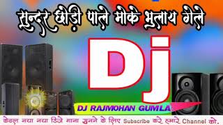 खतरनाक dj songnew nagpuri dj [upl. by Adaminah]