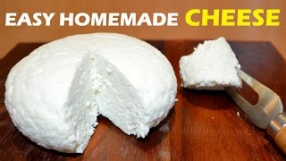 How to Make Cheese at Home  2 ingredient Easy Cheese Recipe [upl. by Spring798]