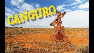 CANCION DEL CANGURO PARA NIÑOS LOS TITIS MOTIVACION INFANTIL [upl. by Zeb683]