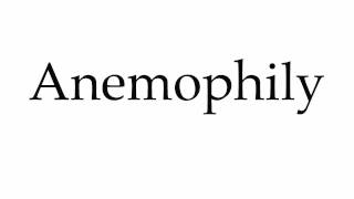 How to Pronounce Anemophily [upl. by Elvina372]