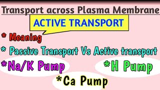 Active Transport  Sodium Potassium Pump Calcium Pump amp Proton Pump  Active amp Passive Movement [upl. by Neil]