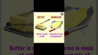 Butter vs Margarine [upl. by Lynnett520]