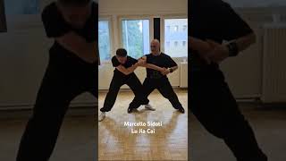 Master Marcello Sidoti Lu Jia Cai Belfort Francia 2024 martialarts taijiquan marcellosidoti [upl. by Amzaj]