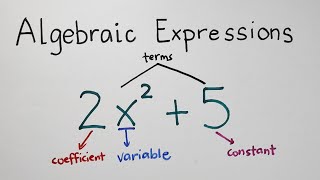 Algebraic Expression  Terms Variables Degree of Polynomials  Grade 7 Math Second Quarter [upl. by Viddah577]