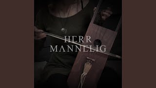 Herr Mannelig Tagelharpa amp Ritual Drum [upl. by Ibloc]