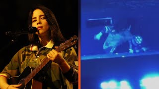 Billie Eilish Falls Down the Stairs at MSG Concert [upl. by Inatsed]