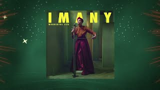 Imany  Wonderful Life Stream Jockey Rework Audio [upl. by Nedmac]