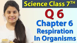 Q 6 Page No 67  Chapter 6  Respiration in Organisms  Science Class 7th NCERT [upl. by Grimona]