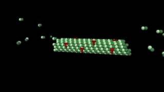 Taxol Mechanism of action [upl. by Assilav]