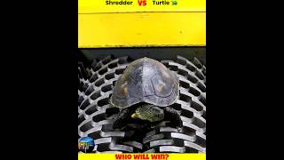 Shredder Vs Turtle 🐢 And Strongest Bone [upl. by Ephraim]