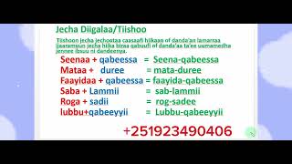 Afaan Oromoo Jechoota DiigalaaTiishoo study Afaan OromooAmharic English letters [upl. by Osmund]