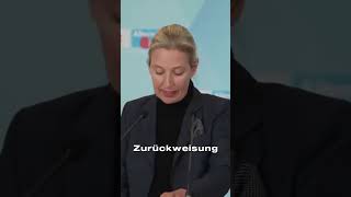 Schließung der Grenzen und Rückführung Alice Weidel nachrichten viralnews afd shorts politik [upl. by Amorette]